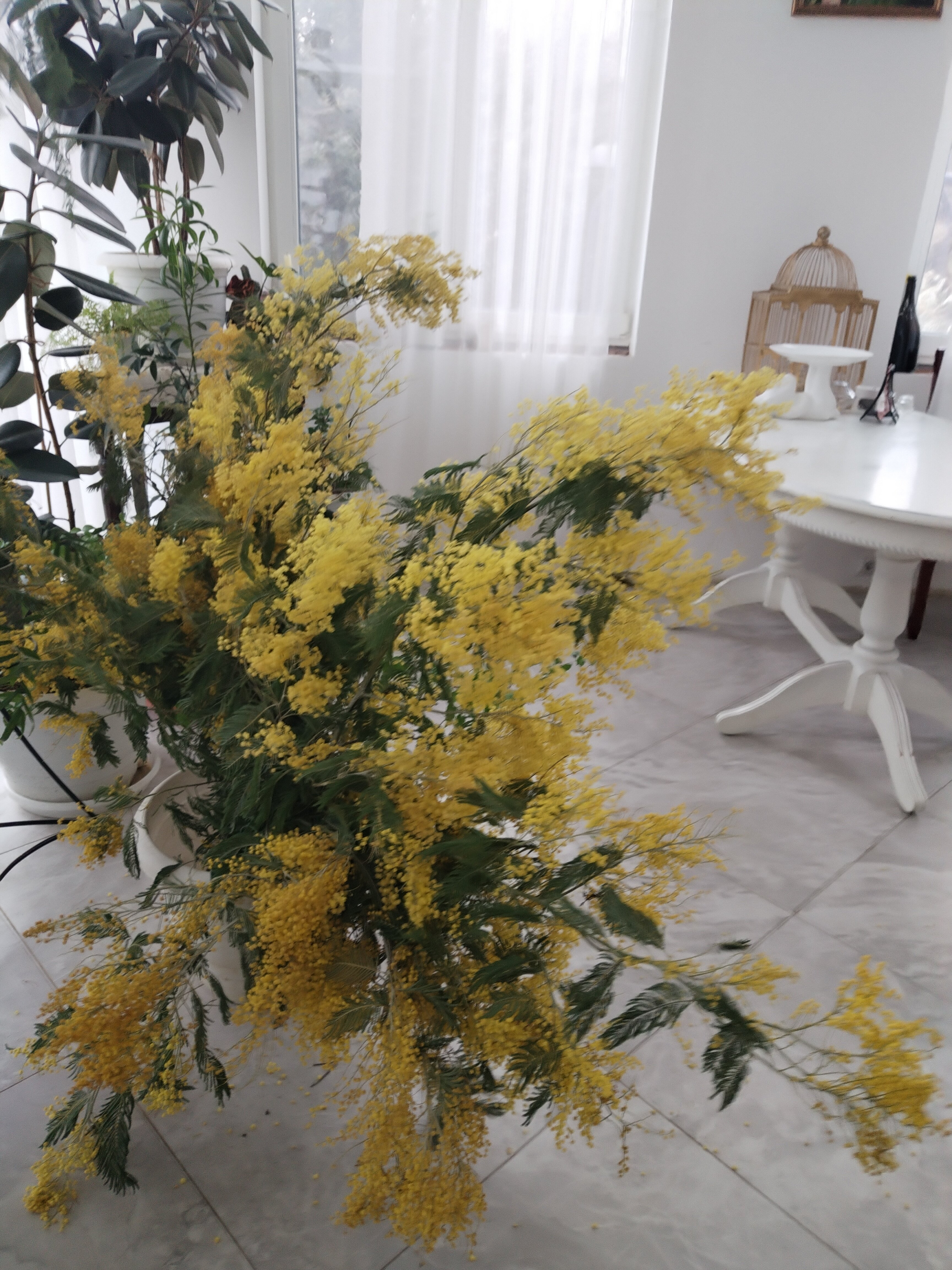 Фото Дом на Фабрициуса