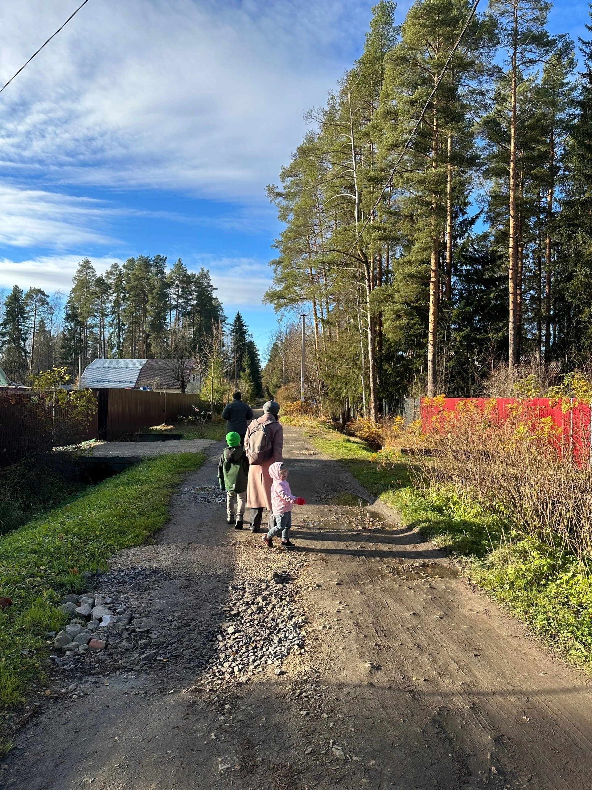 Фото Вырицкие Тарханы