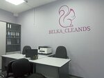 Belka_clean (Krasnoarmeyskaya Street, 144А) ، التطهير وإزالة الطفيليات والآفات