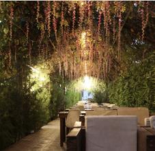 Фото Cross Resort