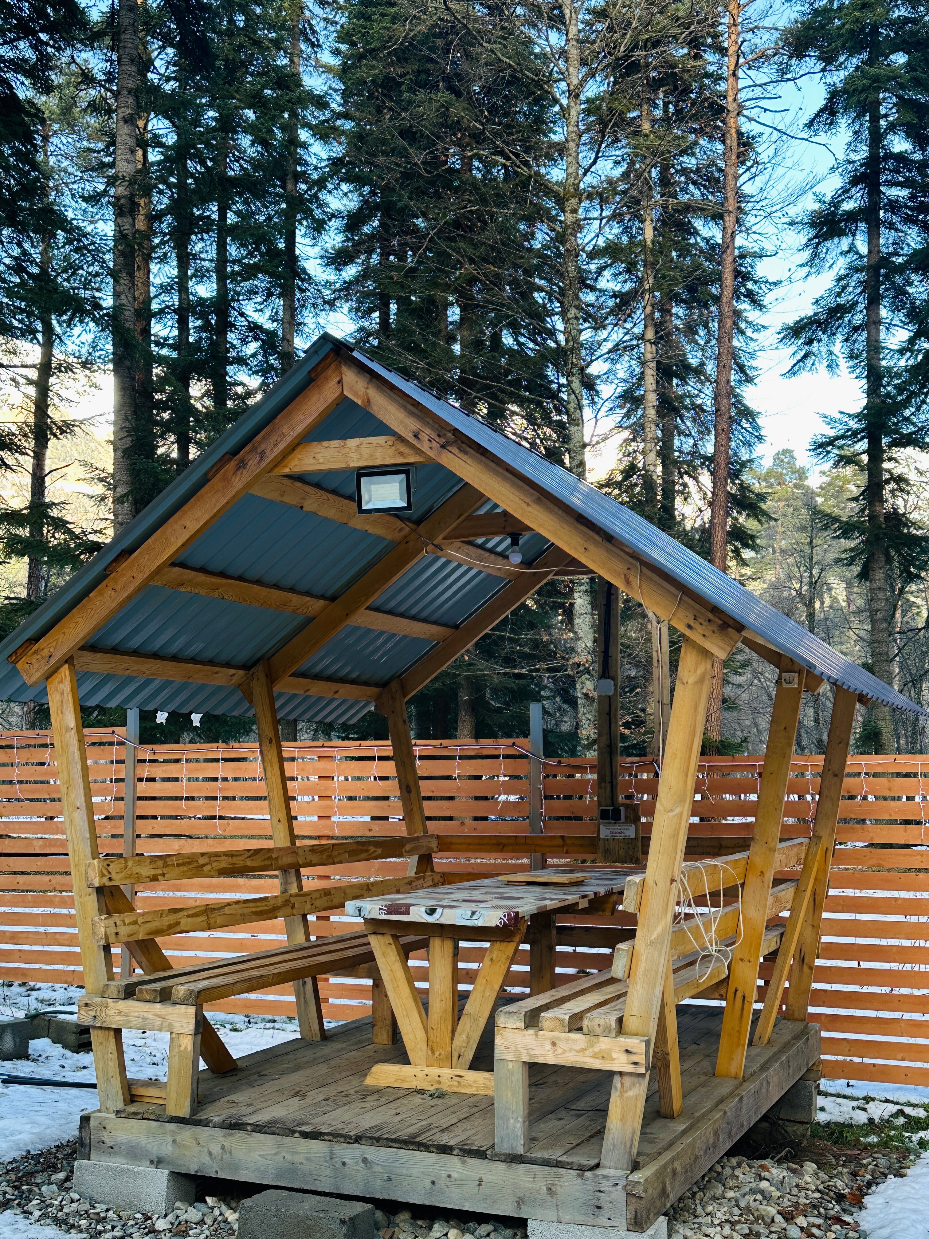 Фото Пихтовый парк