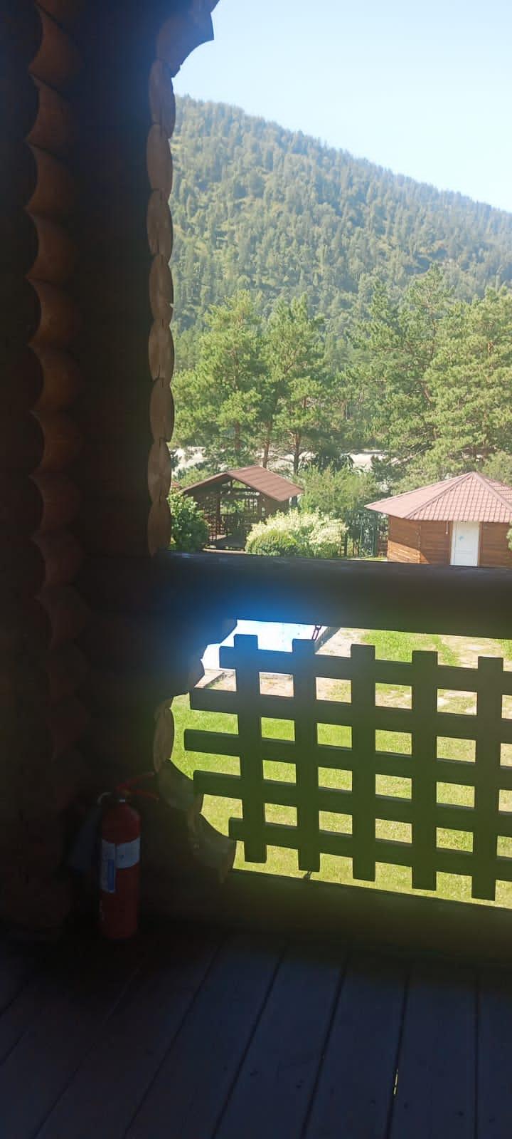 Фото Индиго