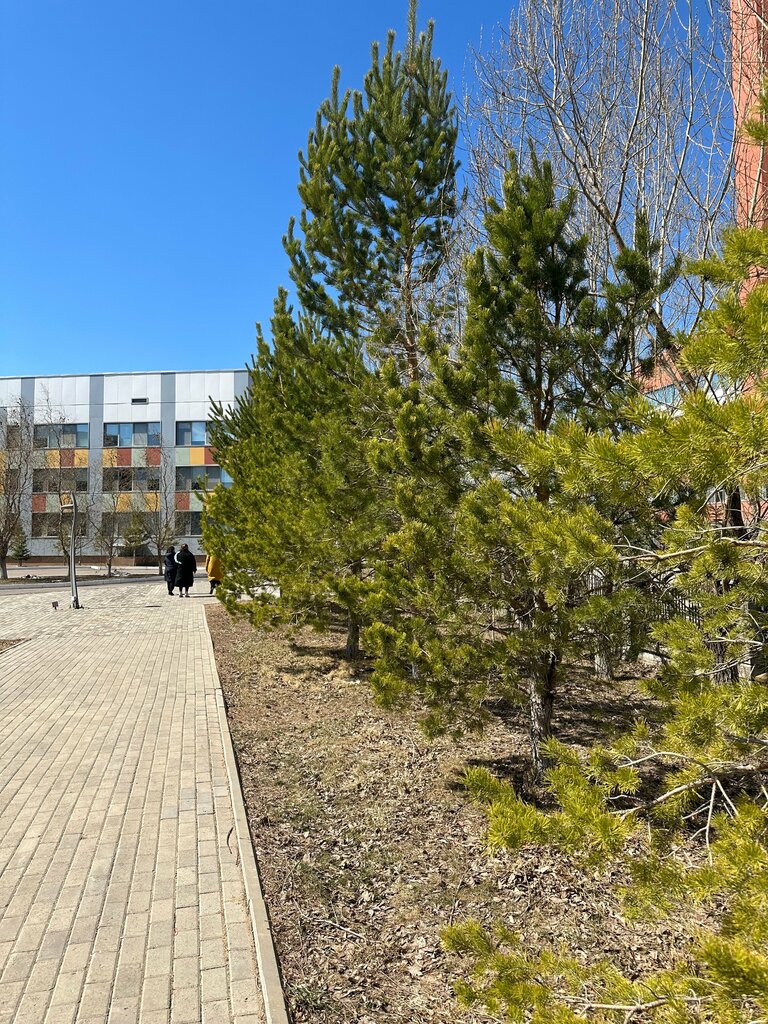 Education infrastructure Center for Pedagogical Measurements, Astana, photo