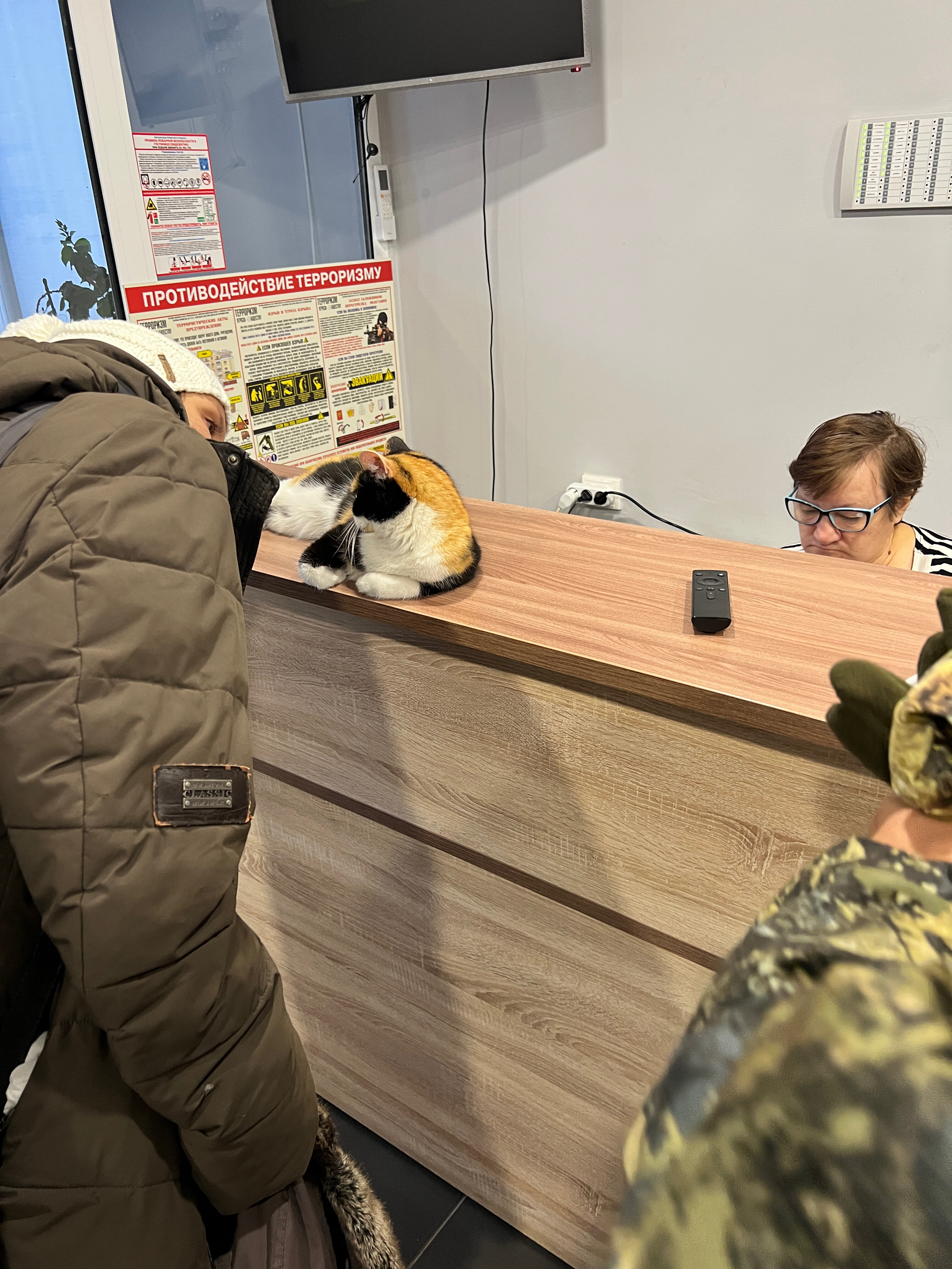 Фото Циркон