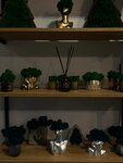 Tana di Volpe (Volodarskogo Street, 40), interior goods