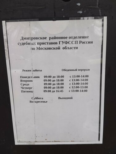 ит стиліндегі шұлықтағы жалаңаш әйелдер