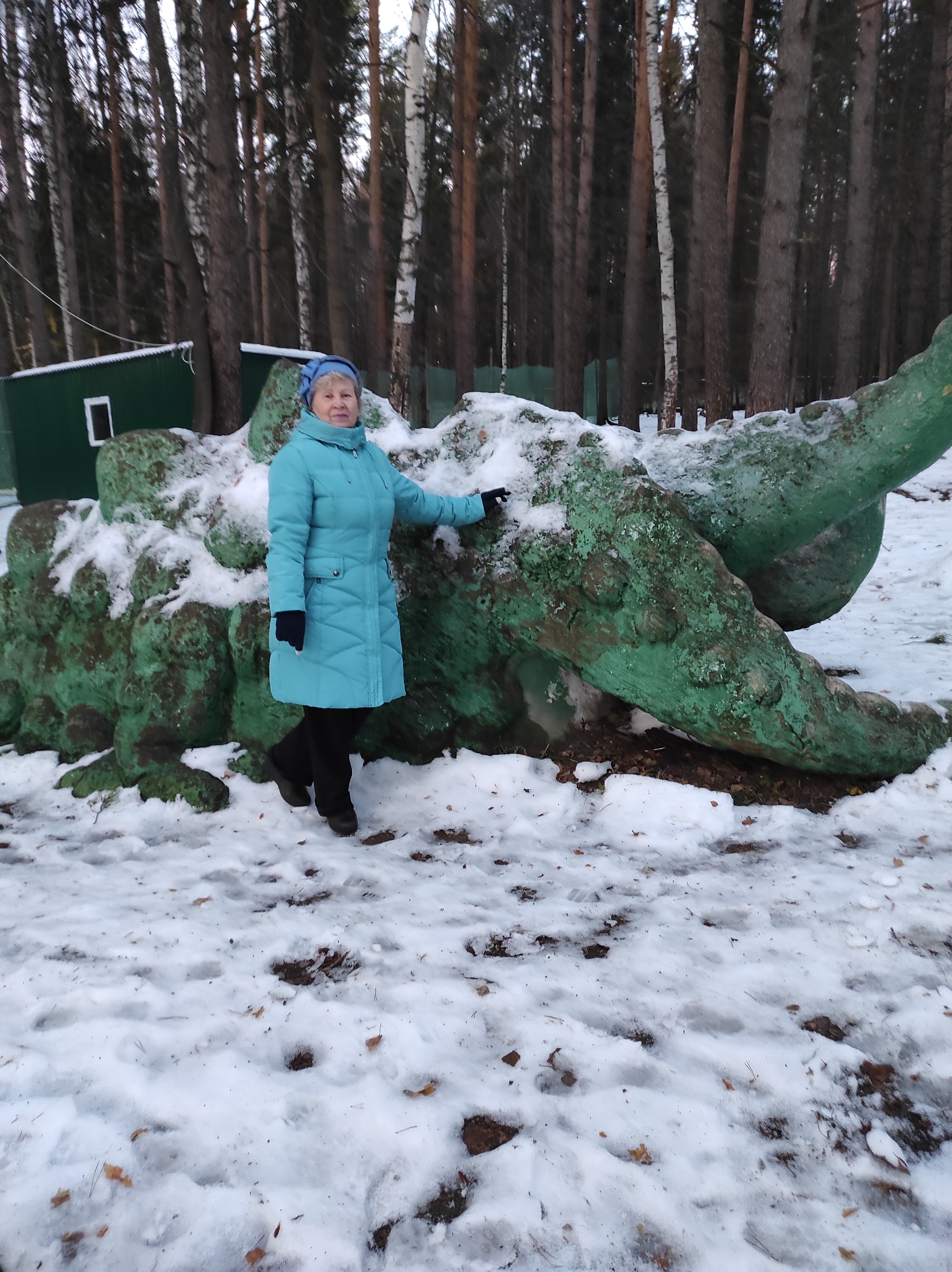 Фото Сосновый бор