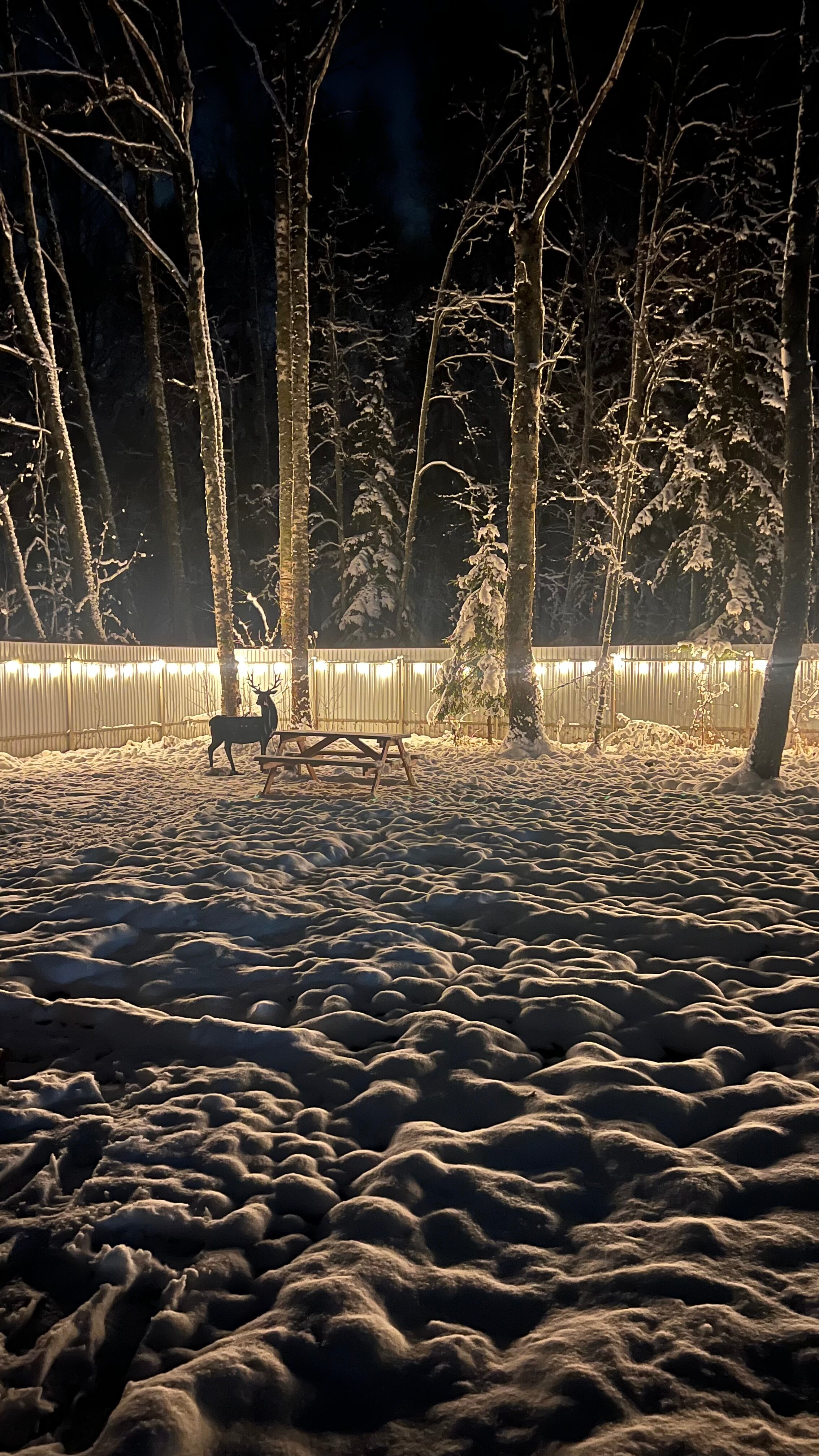 Фото На природе