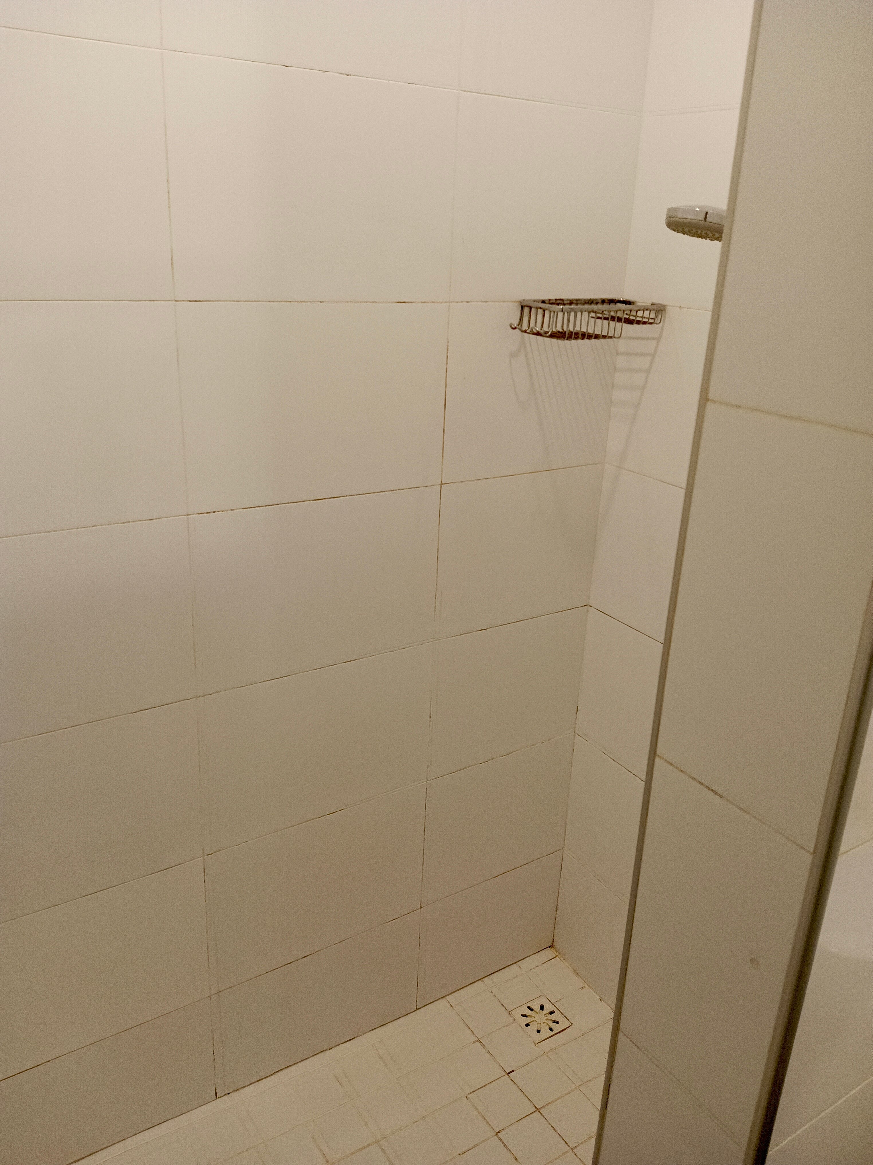 Фото Ротас на Советской