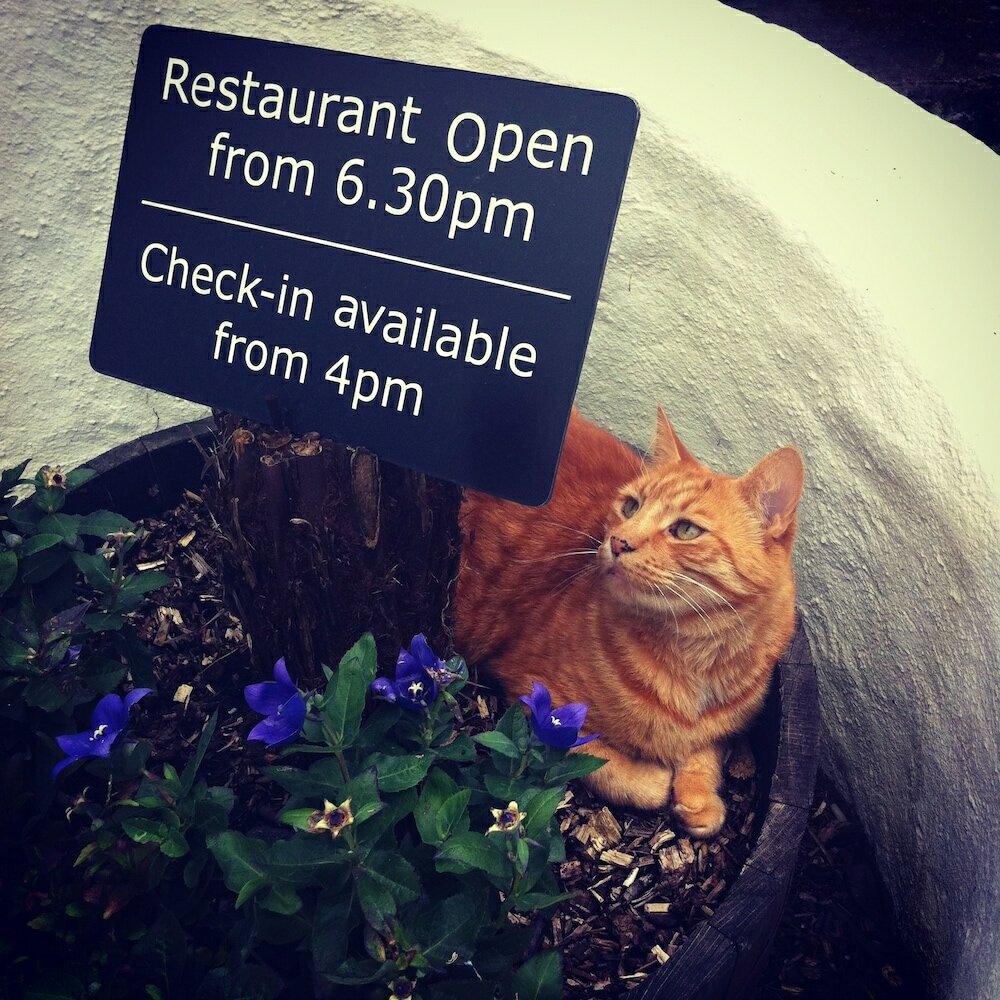 Фото The Waterwheel Inn