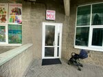 Raduga (Tole Bi Street, 286/5), kindergarten, nursery