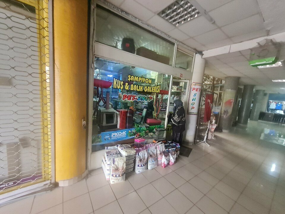 Pet shop Champion Bird and Fish PetShop, Konya, photo