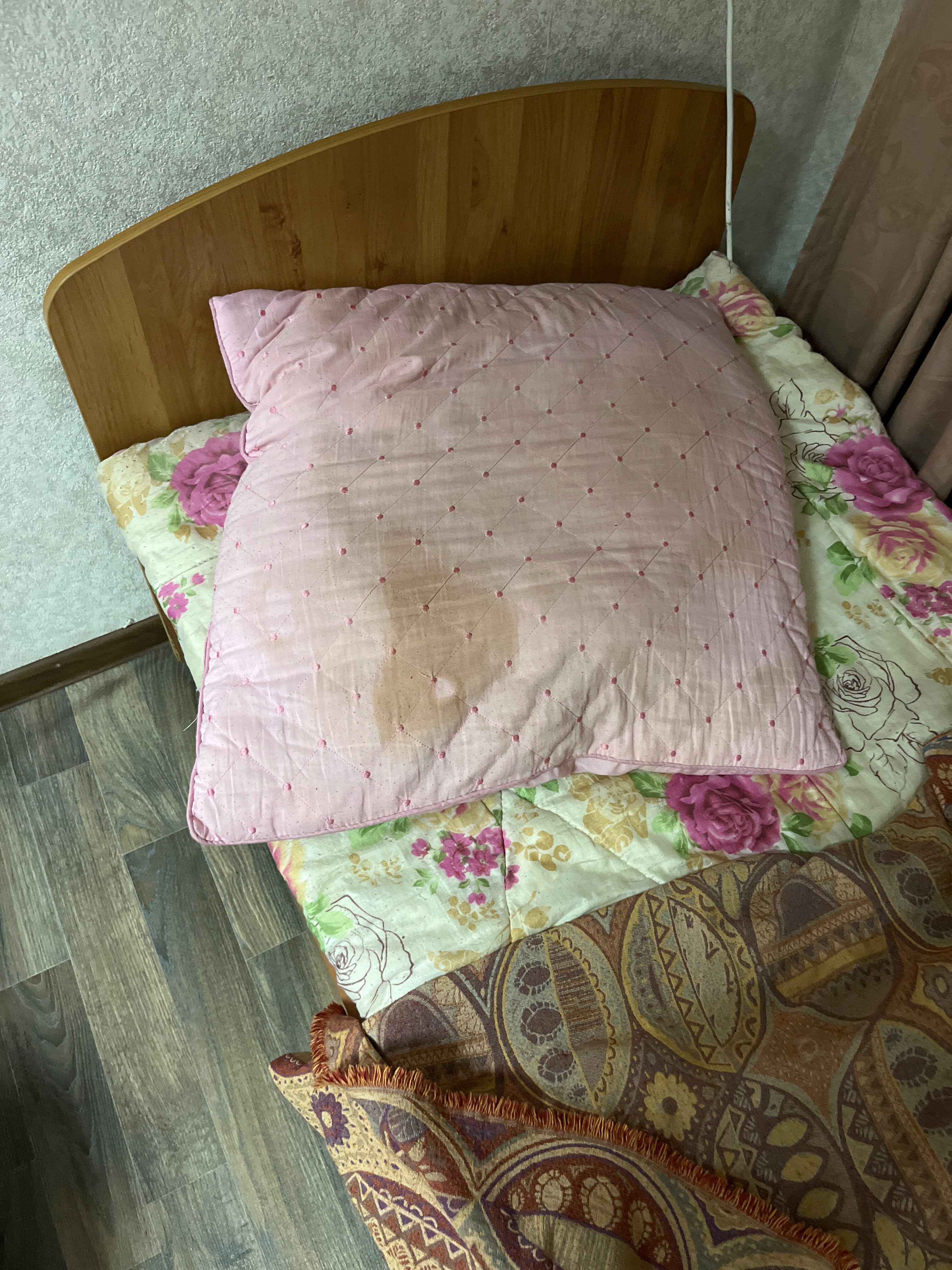 Фото Золотая рыбка