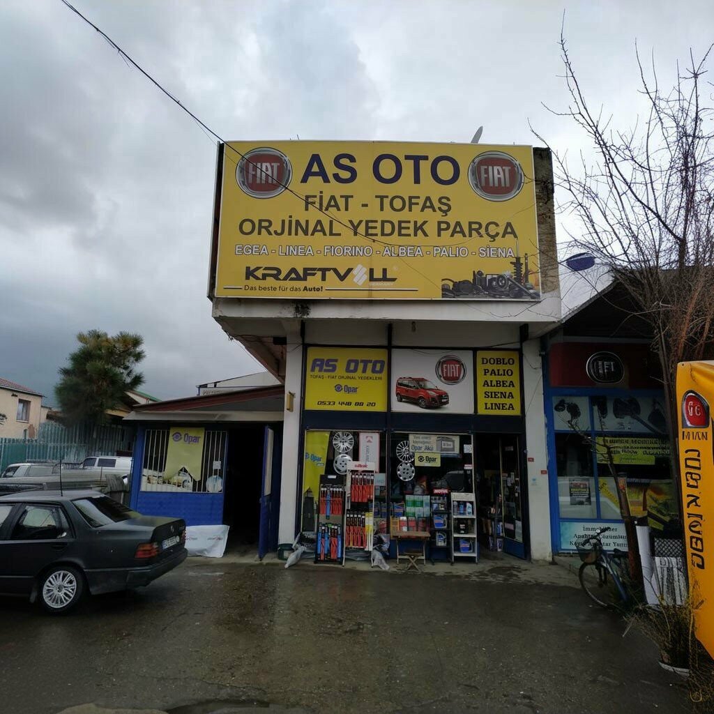 Auto parts and auto goods store AS Oto, Erenler, photo