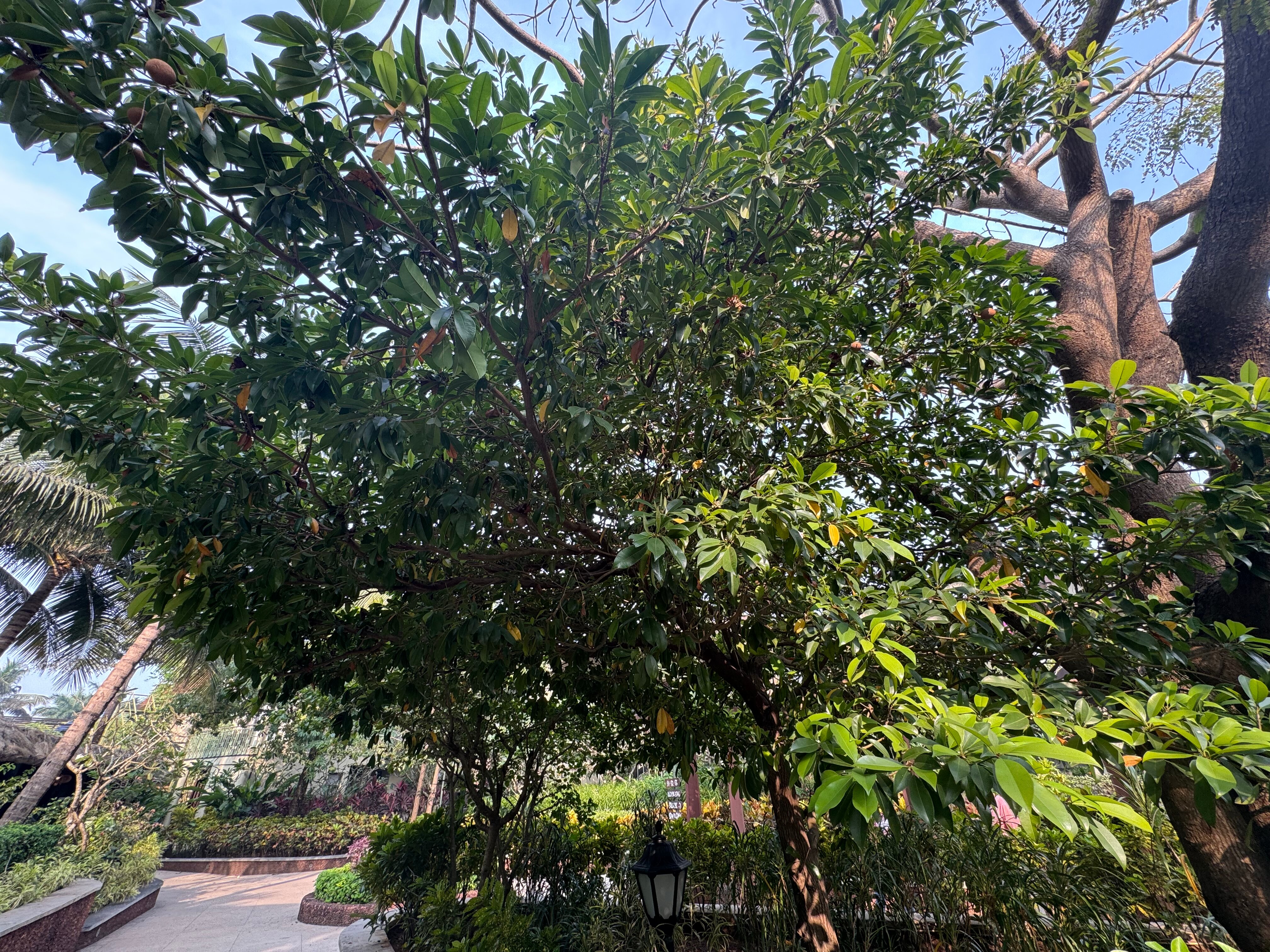 Фото Beleza by the Beach