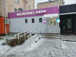 Wildberries (Imeni 50 Let VLKSM Street, 49), point of delivery