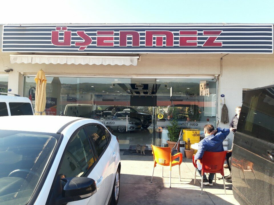 Car dealership Usenmez Otomotiv, Izmir, photo