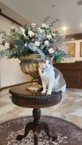 Гостиница Hotel Impero в Орадя