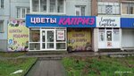 Каприз (prospekt Mira, 64) ، محل زهور