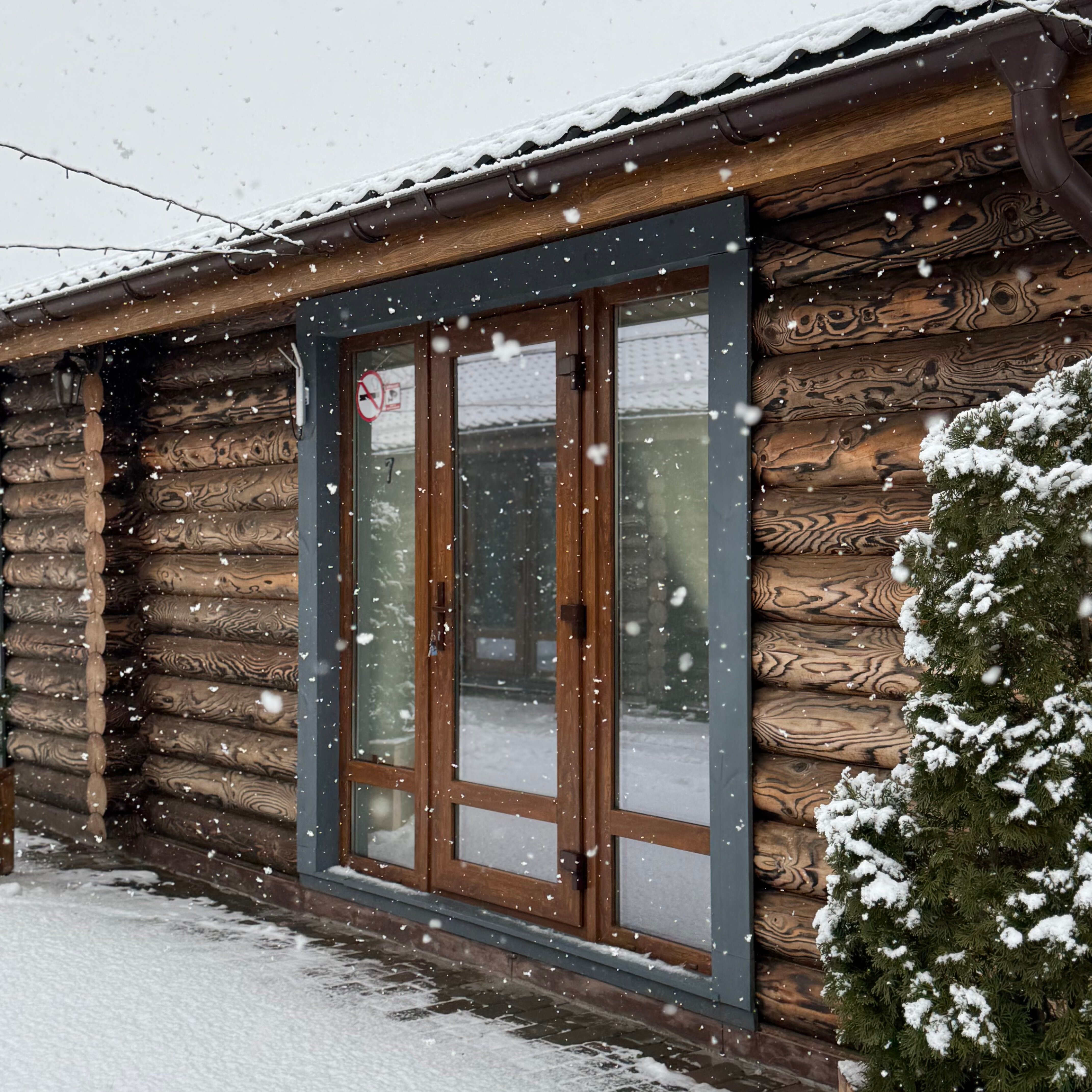 Фото Золотой дуб