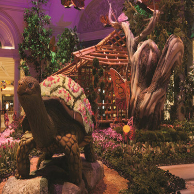 Фото Bellagio Hotel