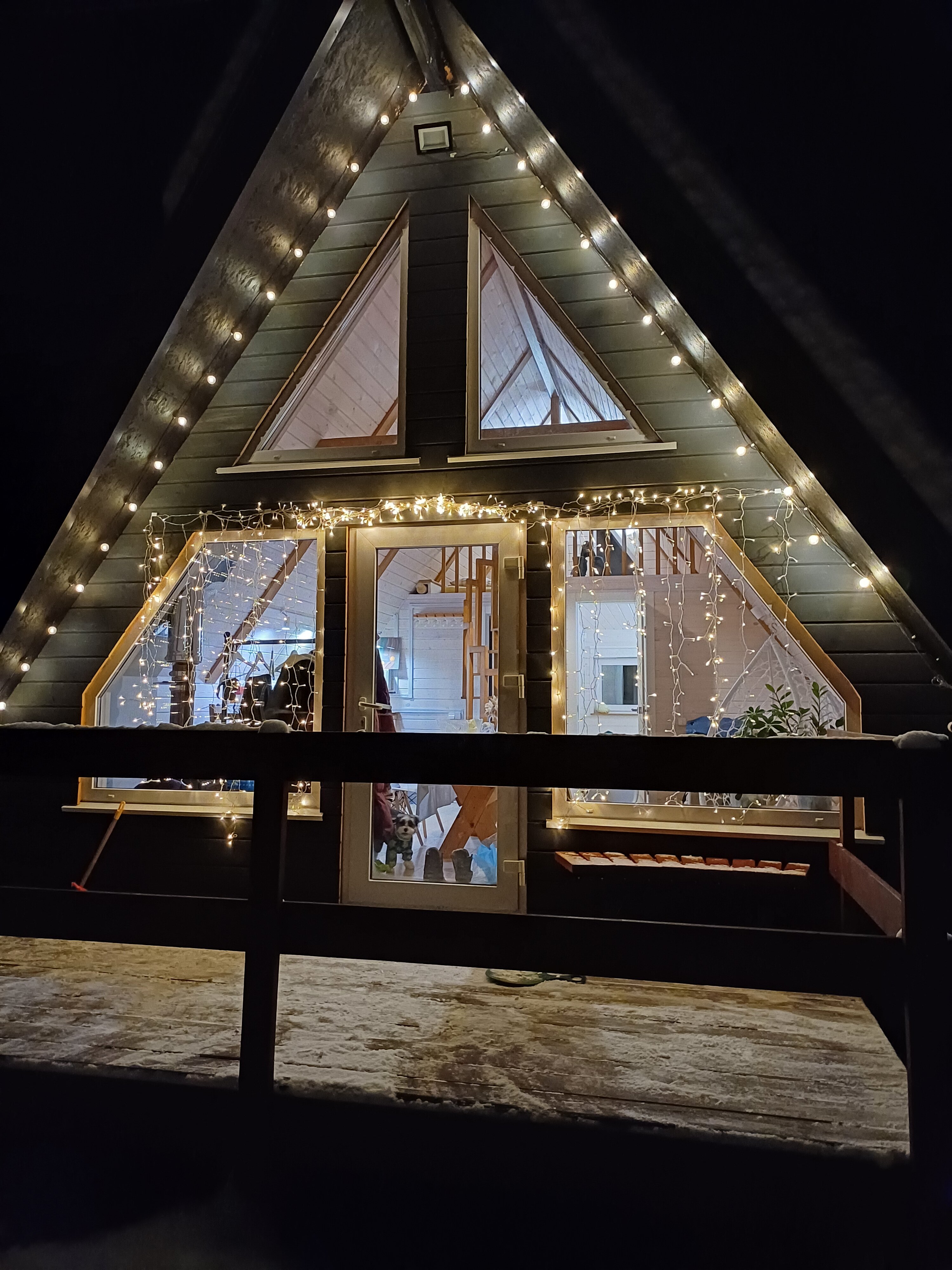 Фото Бурундуки