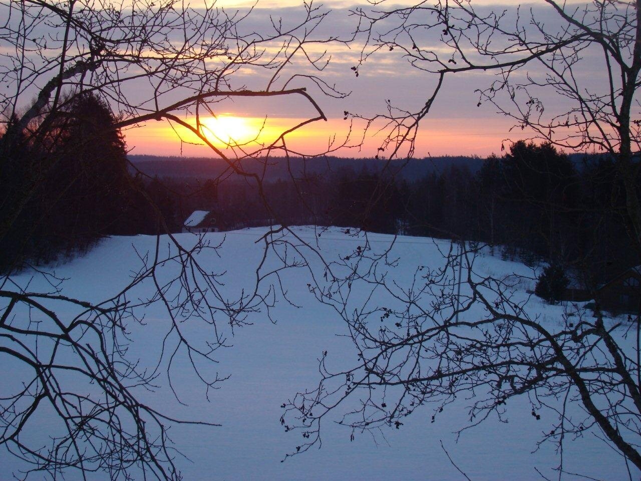 Фото Коттедж Рябиновка