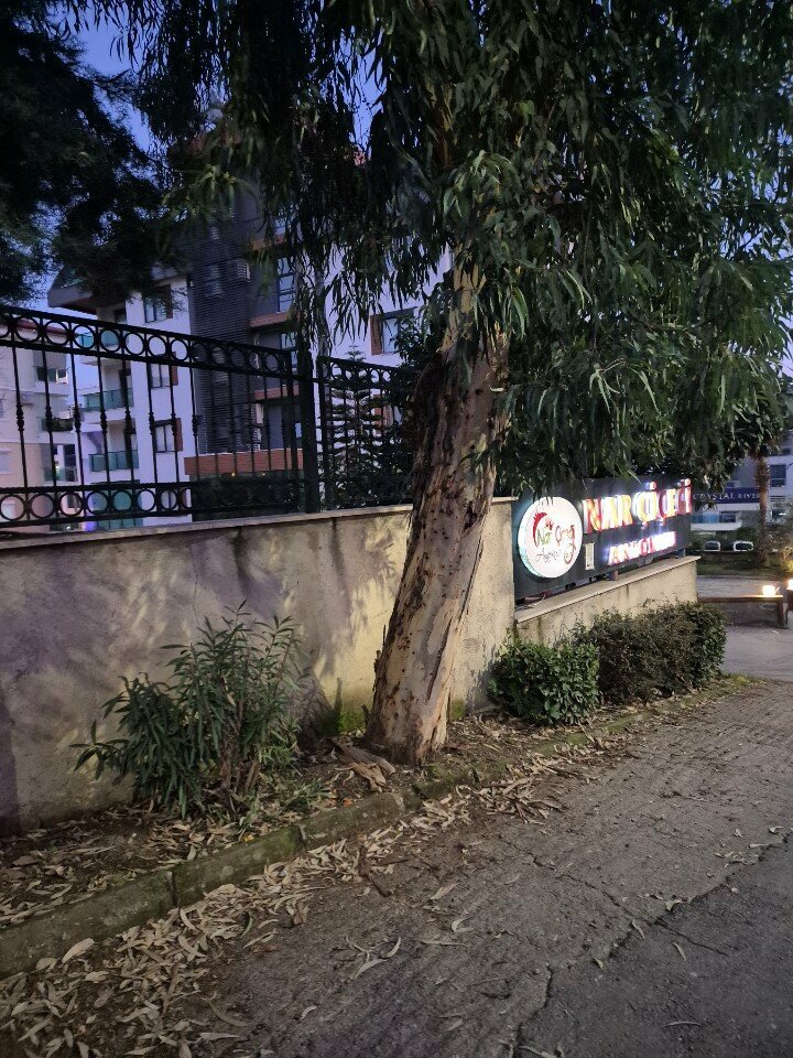 Kindergarten, nursery Pomegranate Flower Kindergarten, Alanya, photo