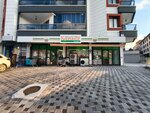 Tarim Kredi Kooperatif Market (Ankara Province, Kecioren District, Asik Veysel Avenue, 19), supermarket