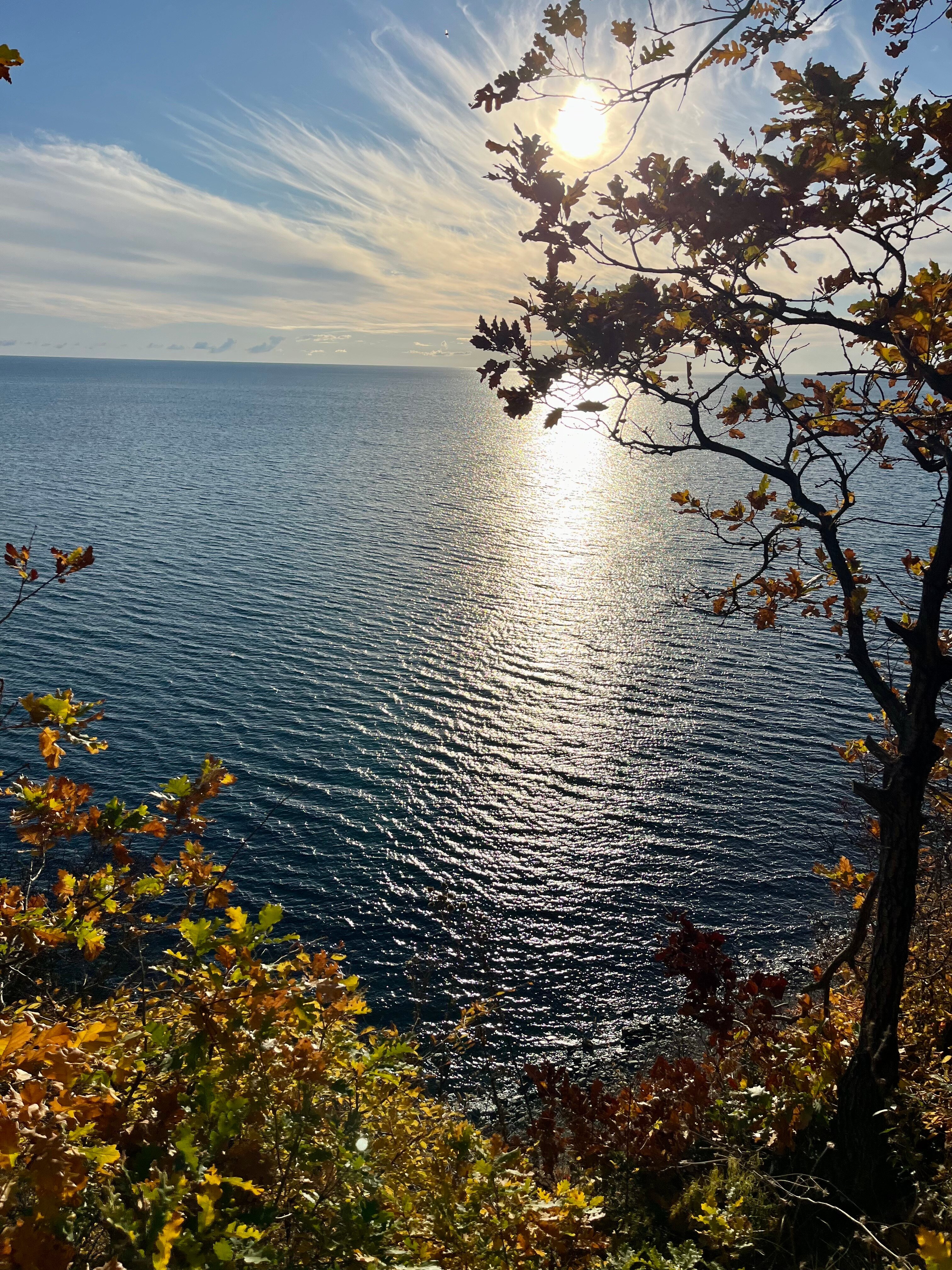 Фото Ремарка