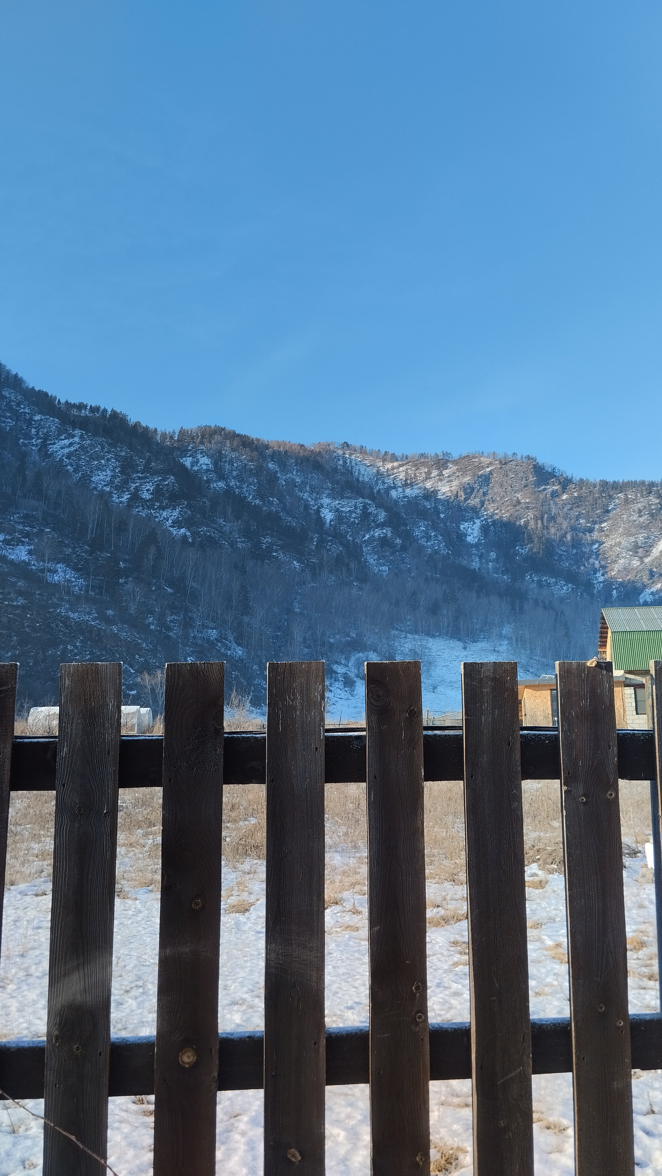 Фото Алтай Люкс