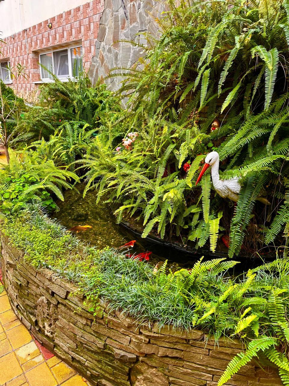 Фото Белый парус