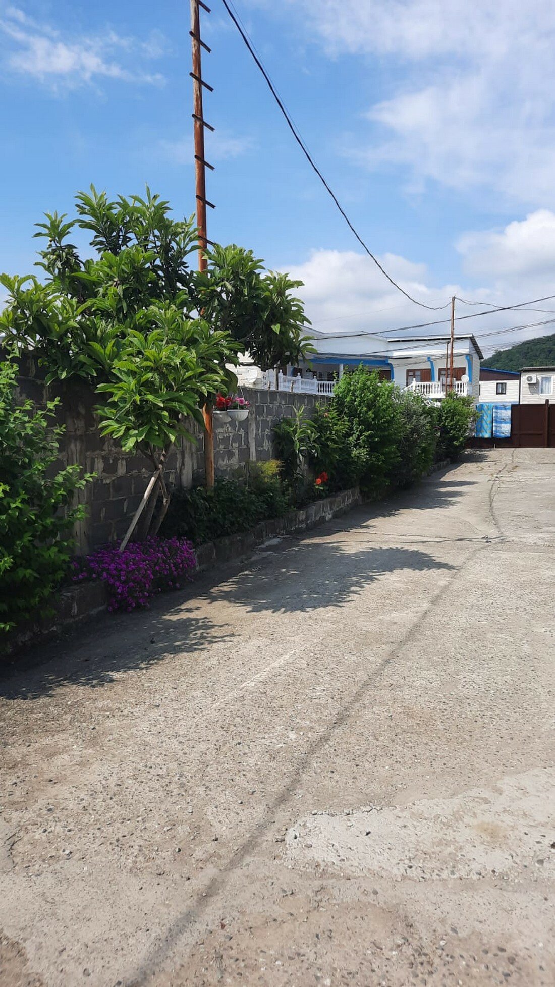 Фото Катюша