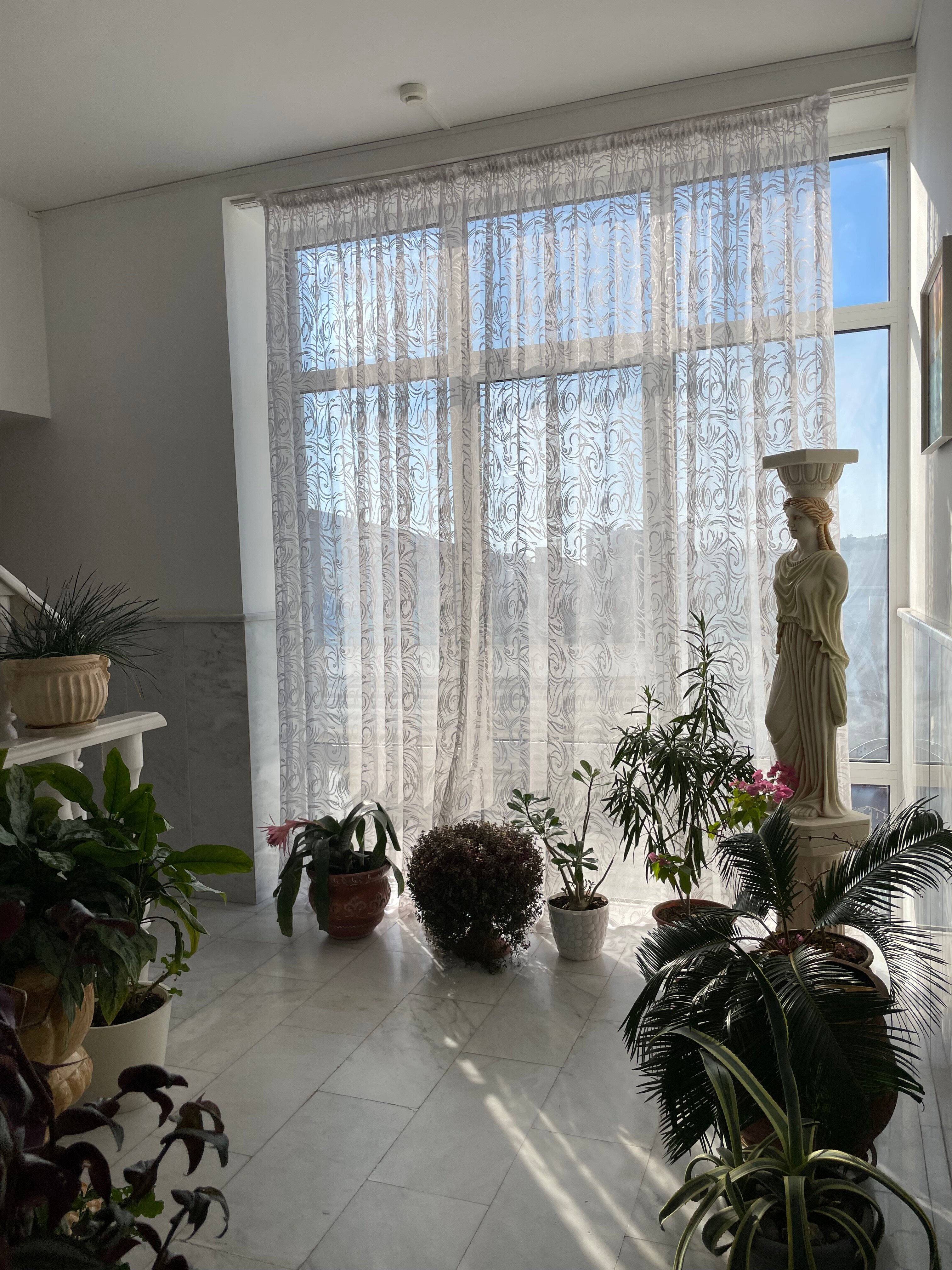 Фото Горгиппия