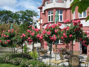 Гостиница Hotel Villa