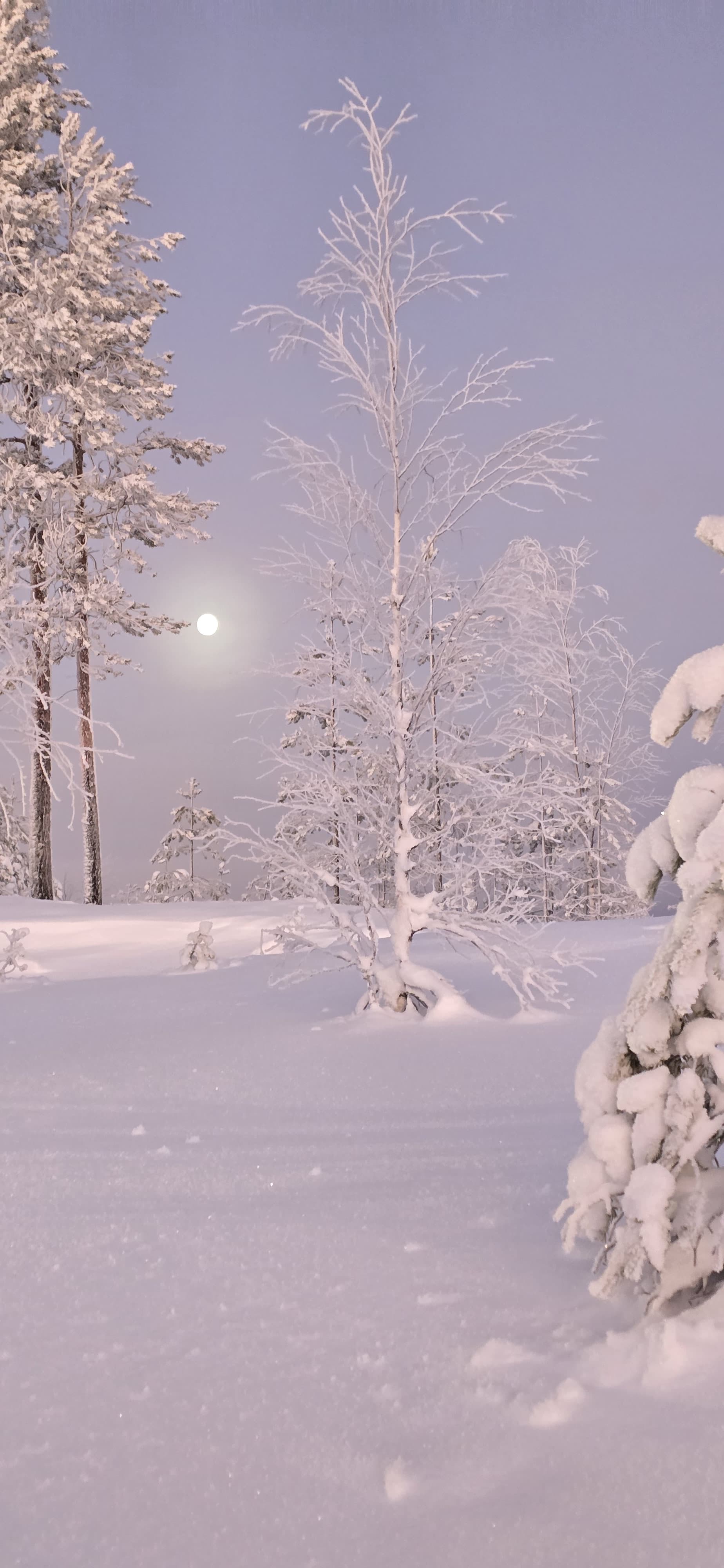 Фото Онежская гора
