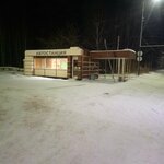 Автостанция Свободный (posyolok gorodskogo tipa Svobodny, ulitsa Nedelina, 23А), bus station