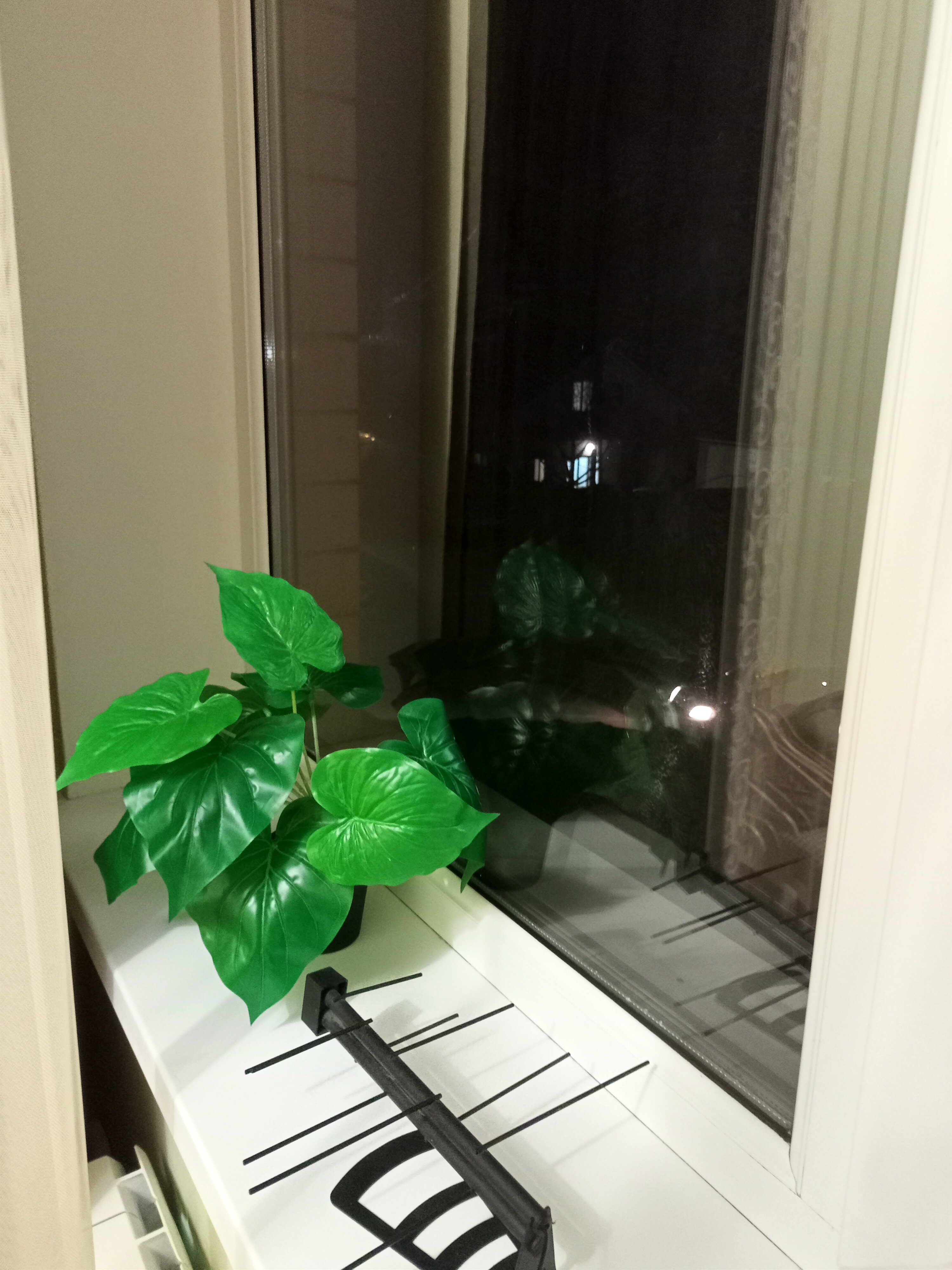 Фото Лаго Наки