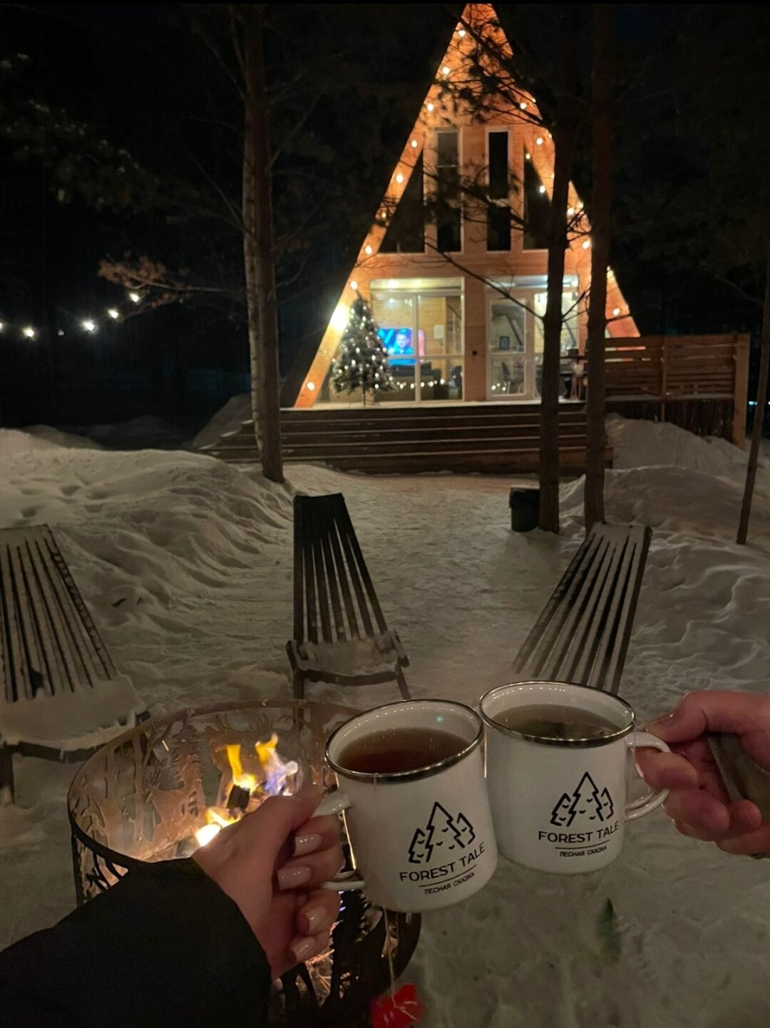 Фото Forest tale