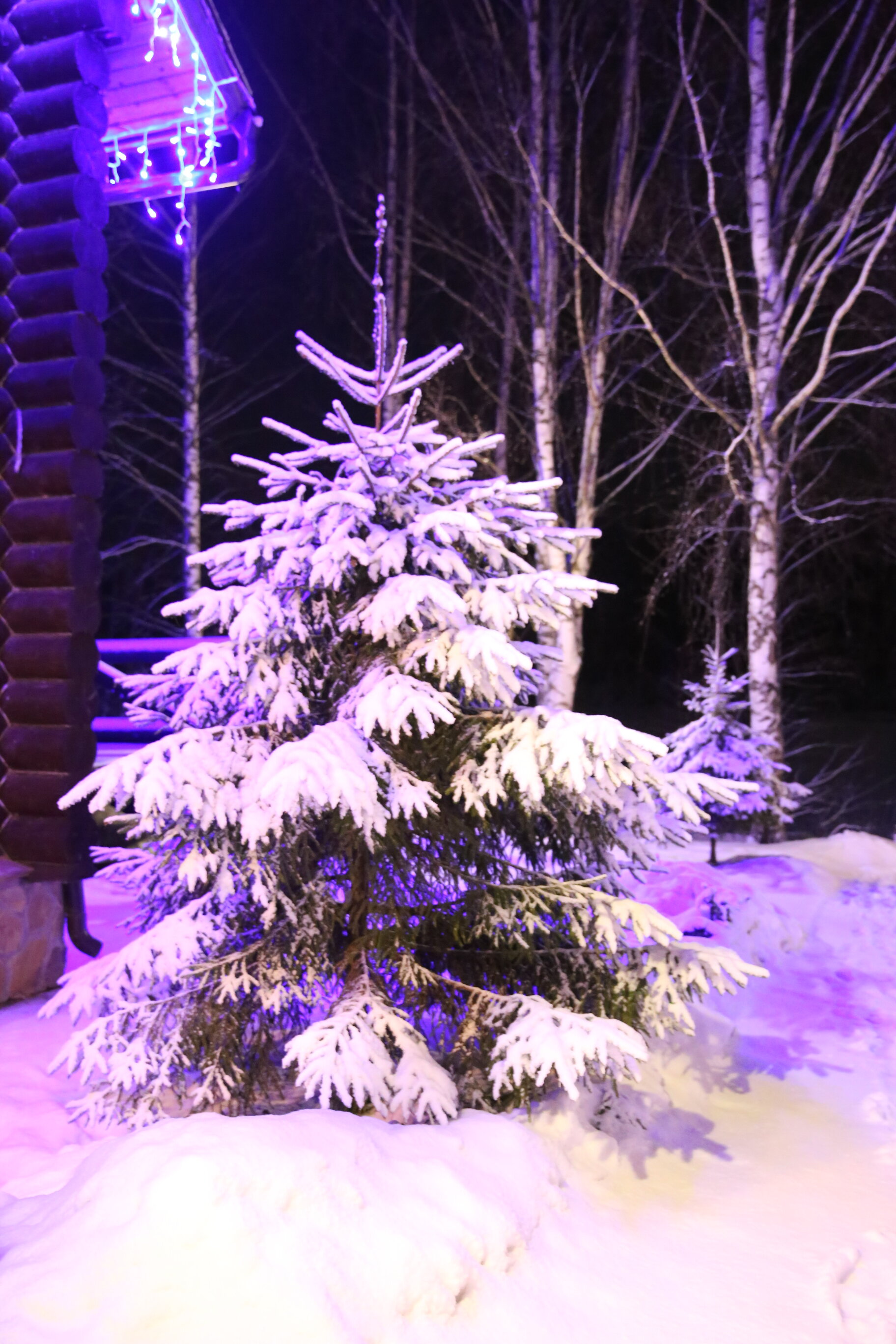 Фото Усадьба Куртюга