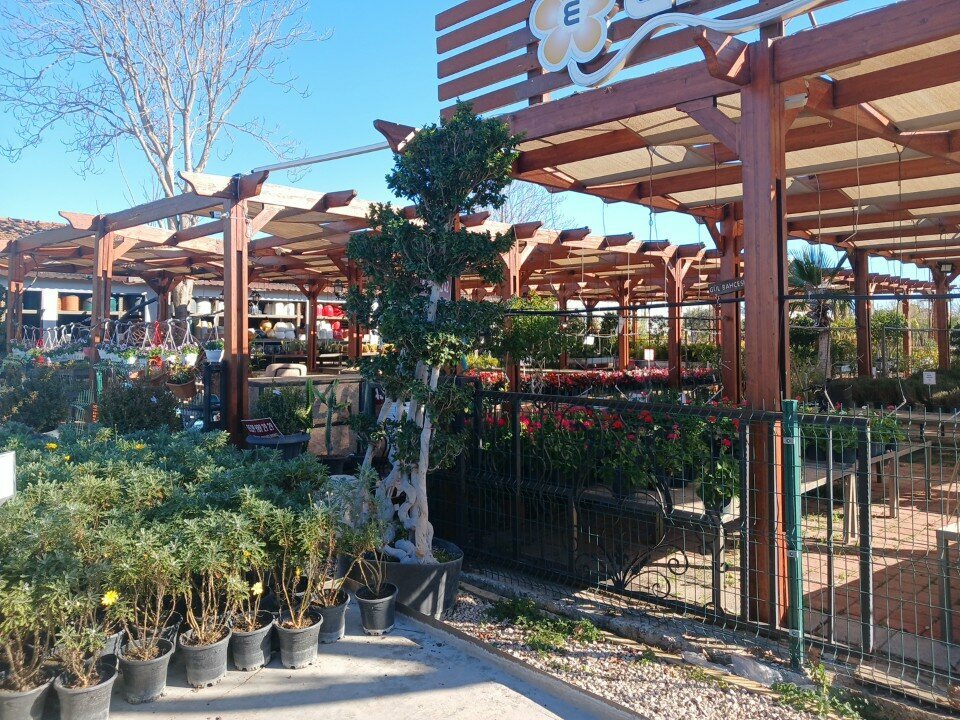 Garden center Eflatunpeyzaj, Antalya, photo