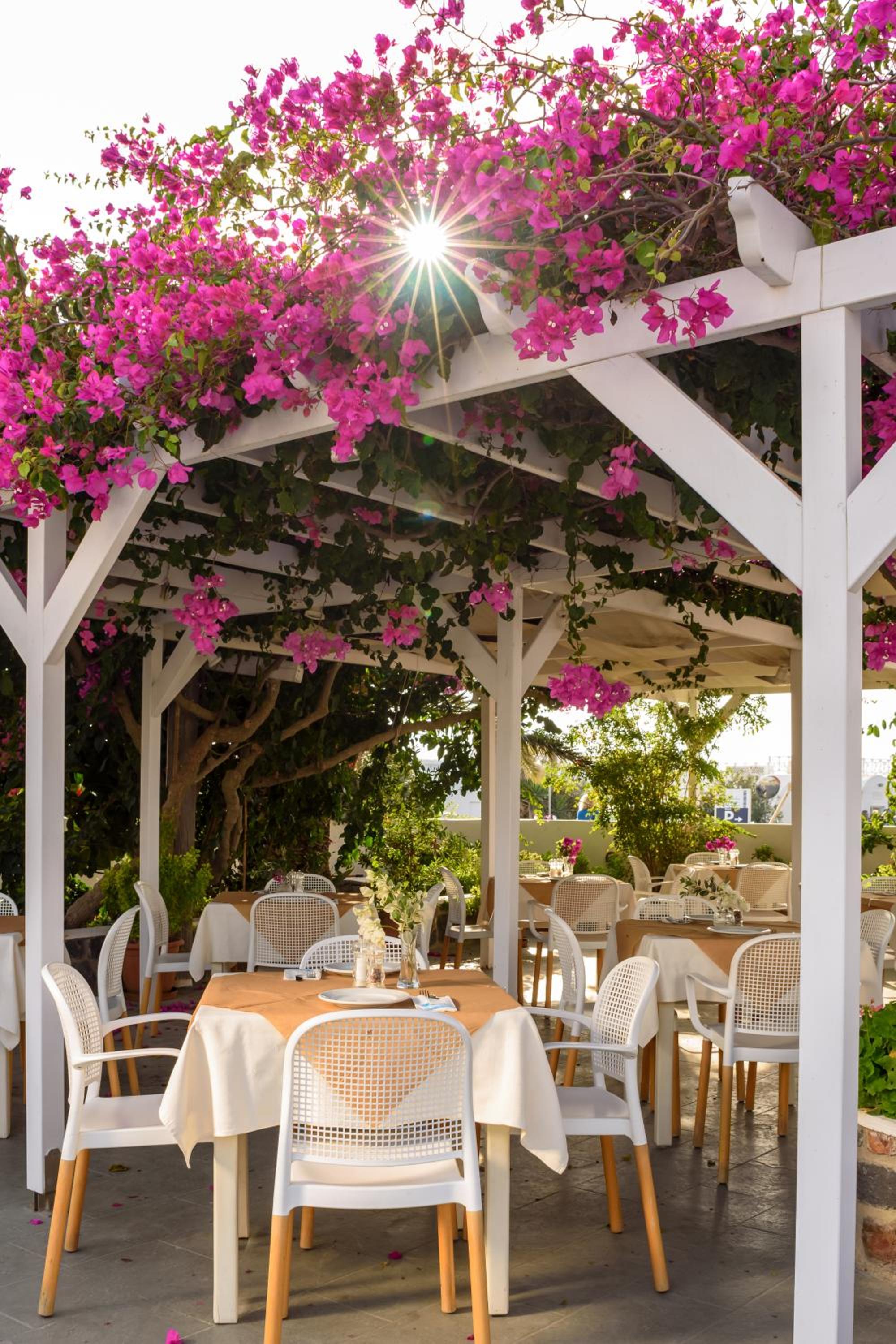 Фото Anemomilos Hotel & Apartments