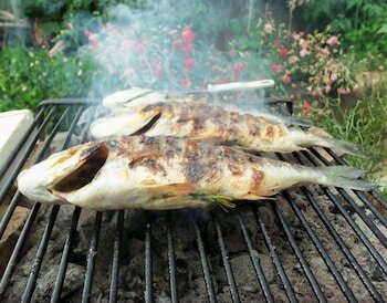 Фото Sea of Eden