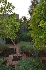 Фото Premier Hotel Falstaff