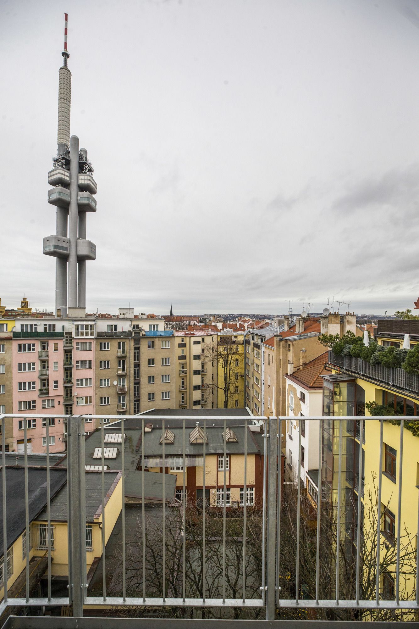 Фото 74879398698