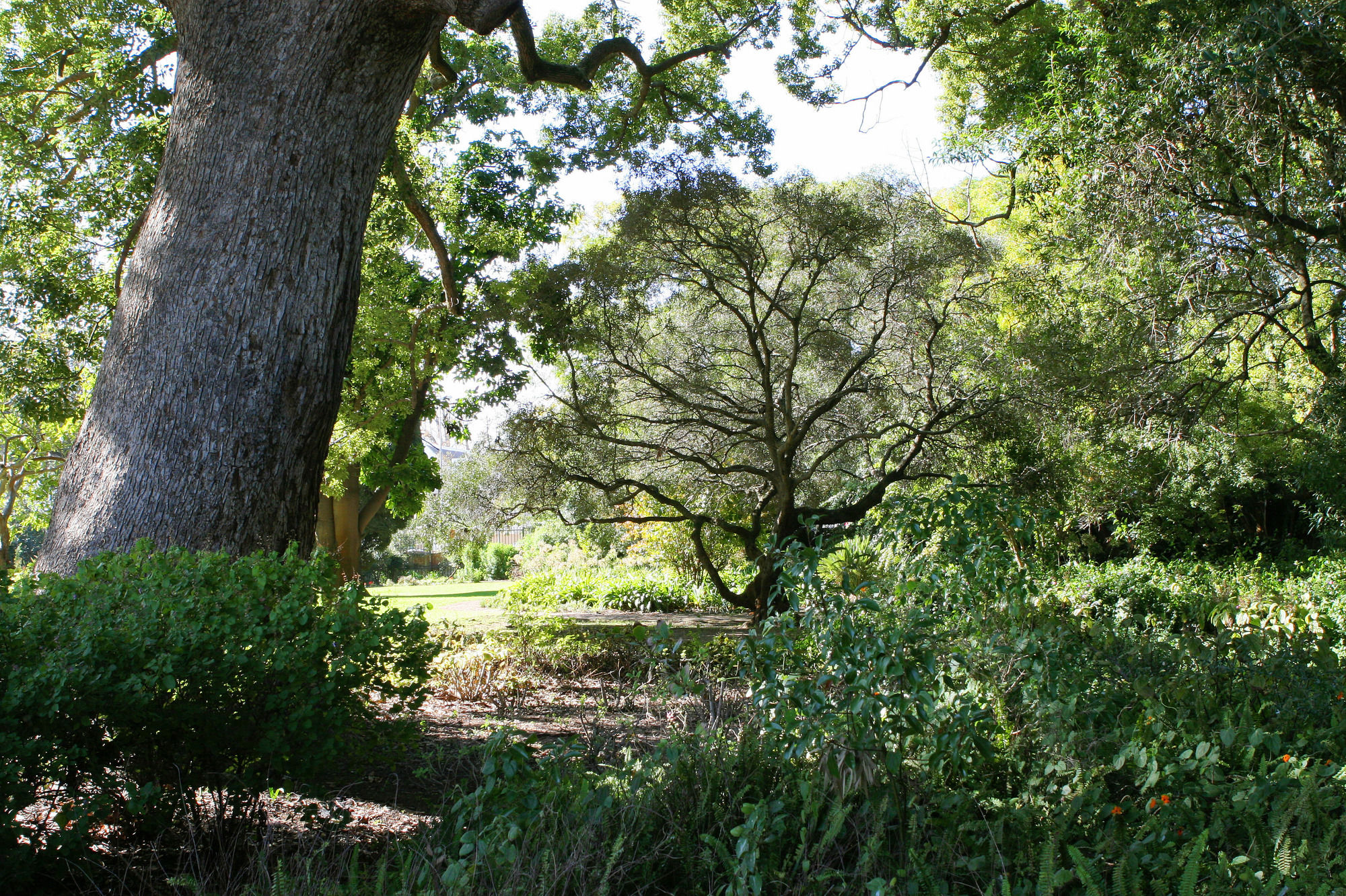 Фото Avemore Wag ‘n Bietjie № 1