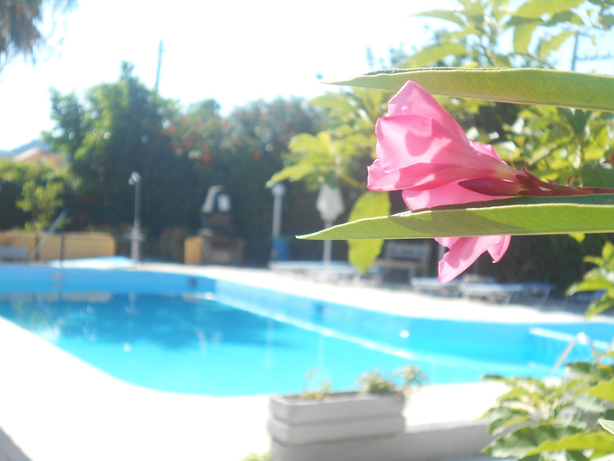 Фото Villa Sofia