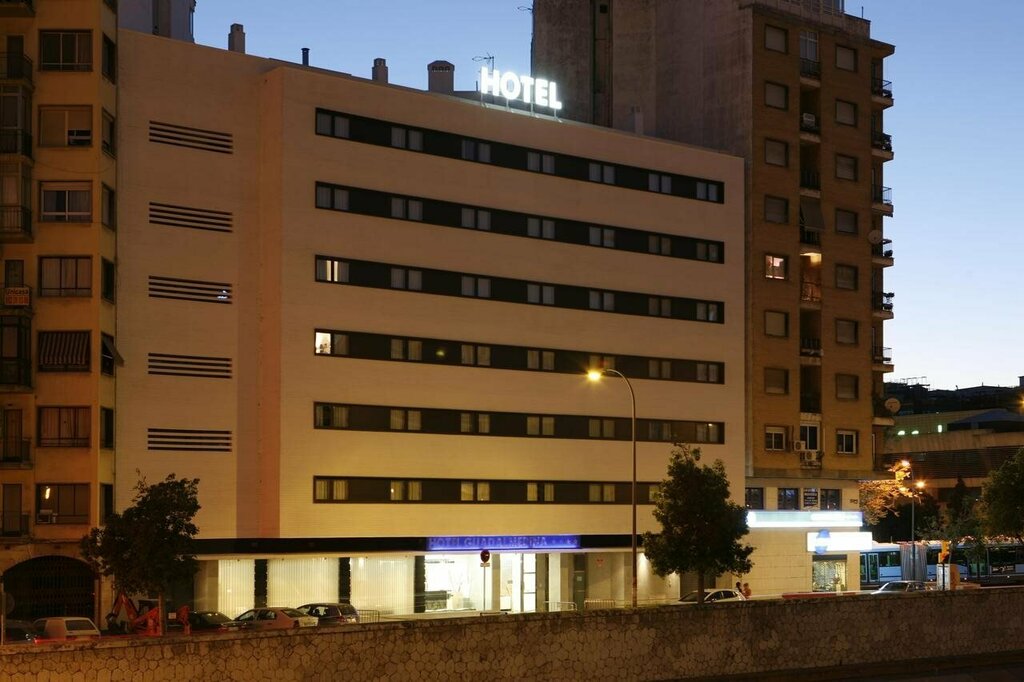 Hotel Hotel Guadalmedina, Malaga, photo