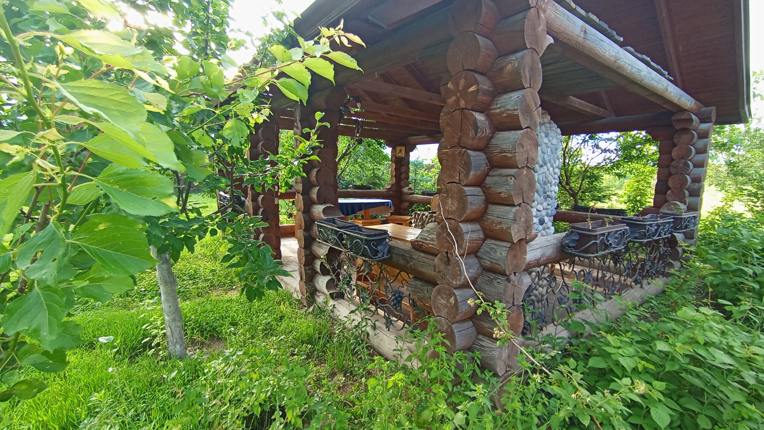 Фото Ноев Ковчег