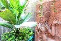 Фото Baipho Lifestyle